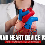LVAD Heart Device vs. Heart Transplant: Key Differences