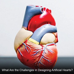 What Are the Challenges in Designing Artificial Hearts?