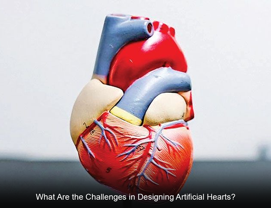 What Are the Challenges in Designing Artificial Hearts?
